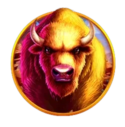 Buffalo
King